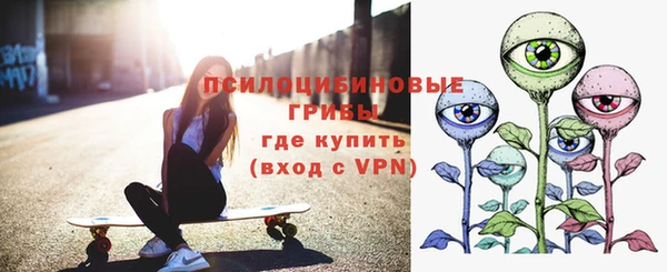 мяу мяу мука Кинешма